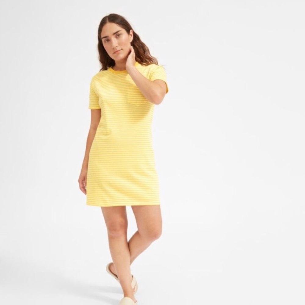 Everlane T-shirt dress